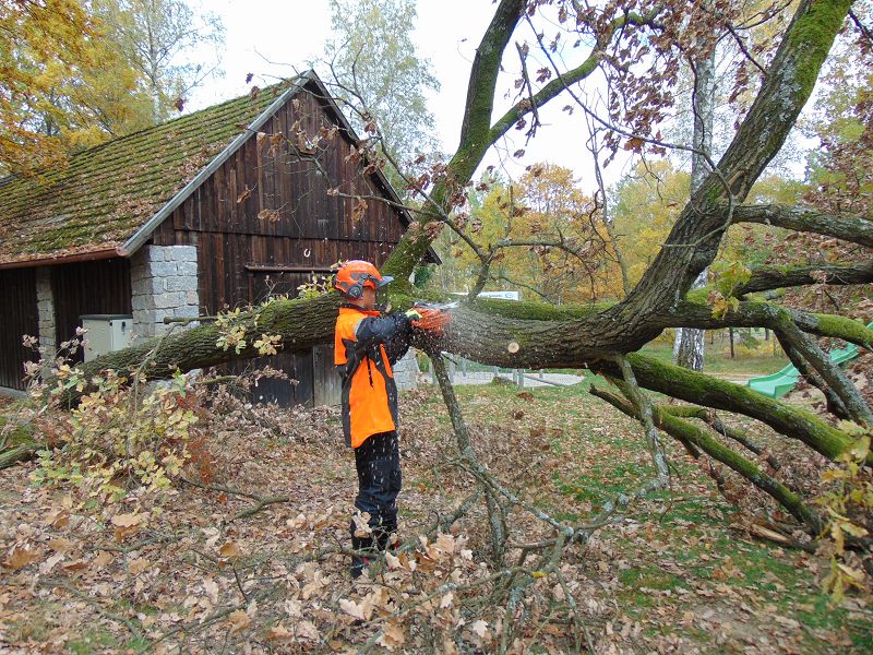 KHD-Übung in der Blockheide-Gmünd