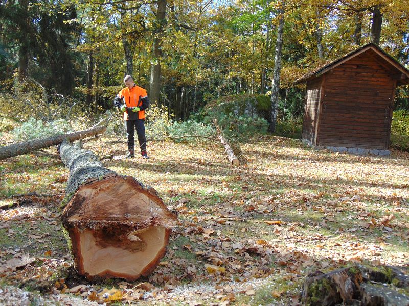 KHD-Übung in der Blockheide-Gmünd