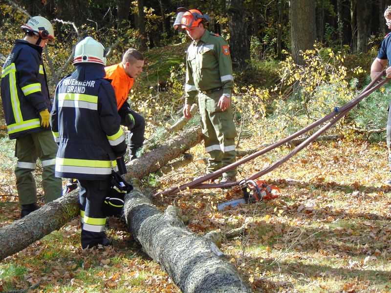 KHD-Übung in der Blockheide-Gmünd