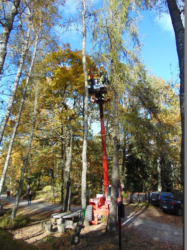 KHD-Übung in der Blockheide-Gmünd