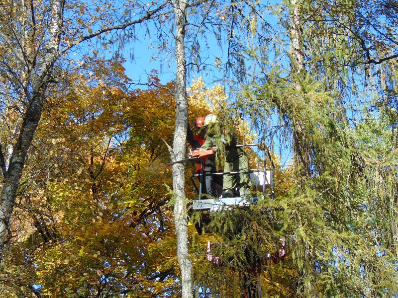 KHD-Übung in der Blockheide-Gmünd