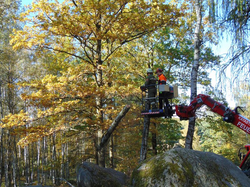 KHD-Übung in der Blockheide-Gmünd