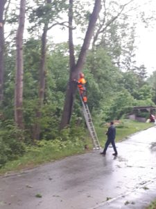 Technischer Einsatz