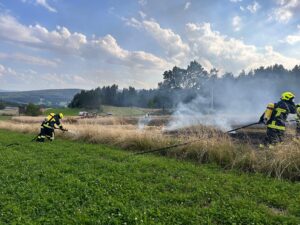 B3-Vegetationsbrand